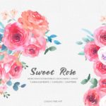 Free Sweet Rose Watercolor Clipart