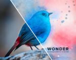 Wonder Watercolor Effect Photoshop Action