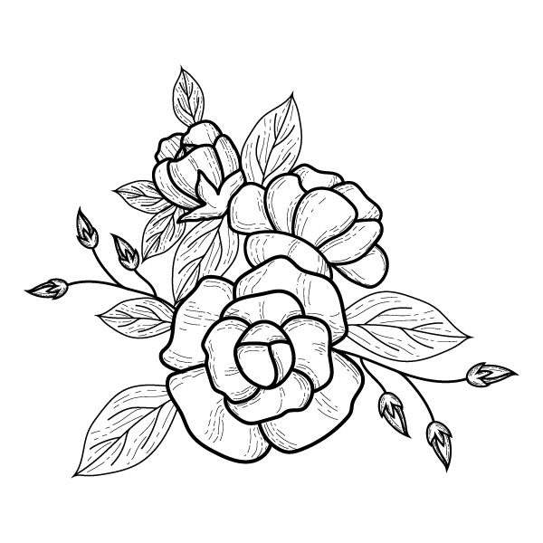 Free Free 296 Flower Drawing Svg Free SVG PNG EPS DXF File