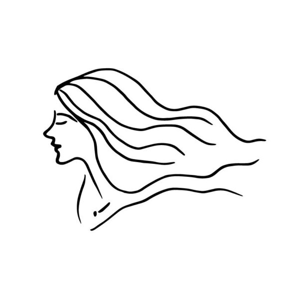 Download Free Women Face Line Drawing Svg Clipart Woman Hair Vector Line Clipart Female Silhouettes Vector Eps Svg Png Pdf Files Gogivo