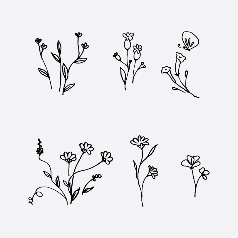 Download Free Wildflowers Vector Clip Art Illustration Line Drawing ...