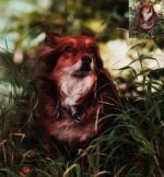 Photo retouch Photoshop action