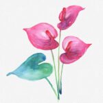 Gogivo_5788_House Plant