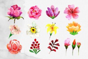 Watercolor Floral Clipart