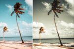 12 Cinematic Black Lightroom Presets - Image 7
