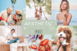 Aesthetic Lightroom Presets
