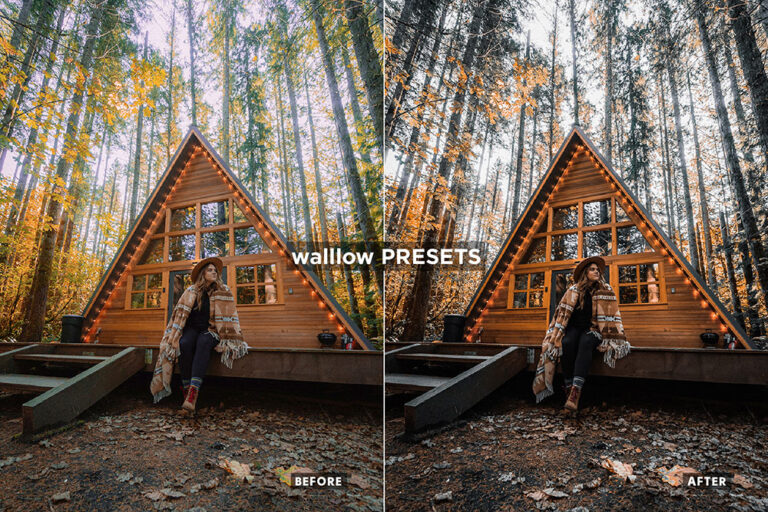 Free moody Lightroom presets Gogivo