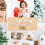 Free 10 Christmas Lightroom Presets
