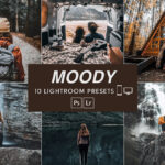Free moody Lightroom presets