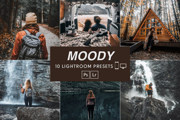 Free moody Lightroom presets Gogivo