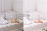 Free Rose Gold Lightroom Presets - Image 2