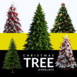 christmas tree png overlays, photoshop digital christmas tree overlay