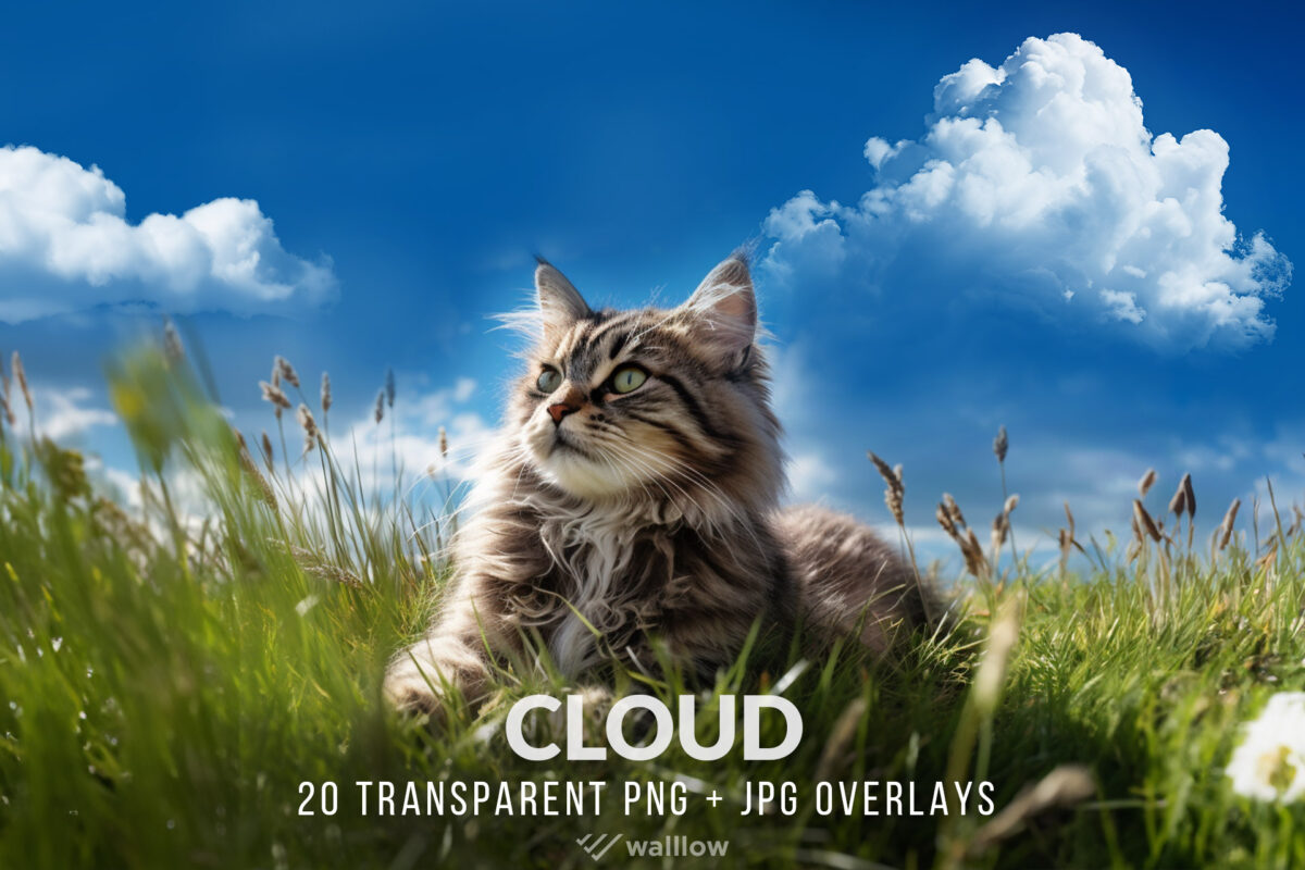 Cloud PNG overlay, Realistic cloud overlay for Photoshop, Clouds photography overlays, Transparent clouds clipart, JPG & PNG digital clouds