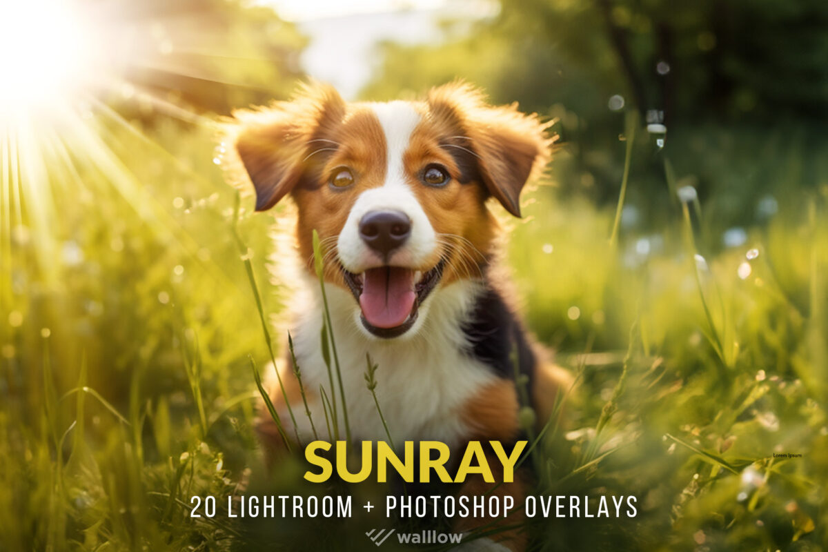 Realistic sunlight overlays, sunbeam overlay, sunray overlays, Photoshop sun overlay, Natural light overlays