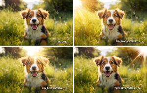 Realistic sunlight overlays, sunbeam overlay, sunray overlays, Photoshop sun overlay, Natural light overlays