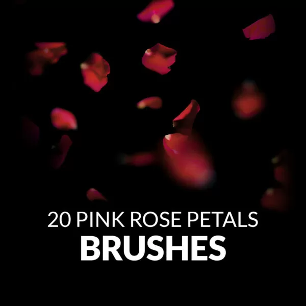 realistic falling rose flower petals photoshop digital brushes