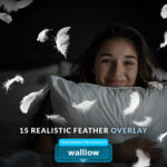 Realistic Falling White Feathers Transparent PNG phots overlays