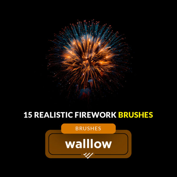 realistic firework brushes