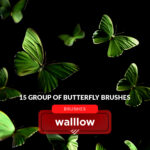 Butterflies transparent png photoshop brushes
