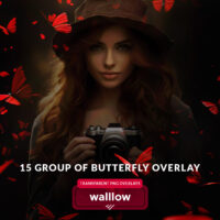 Butterfly png overlays