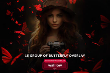 Butterfly png overlays