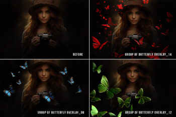 Butterfly png overlays