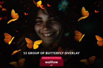 Butterfly png overlays