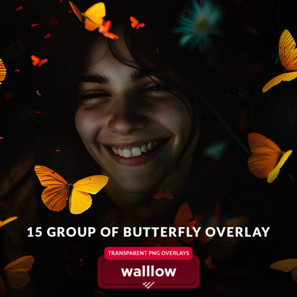 Butterfly png overlays