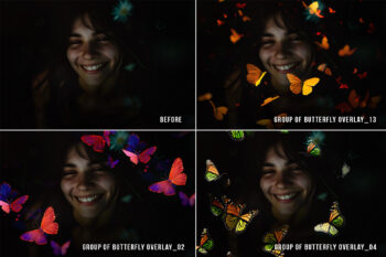 Butterfly png overlays