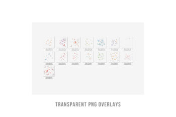 Butterfly png overlays