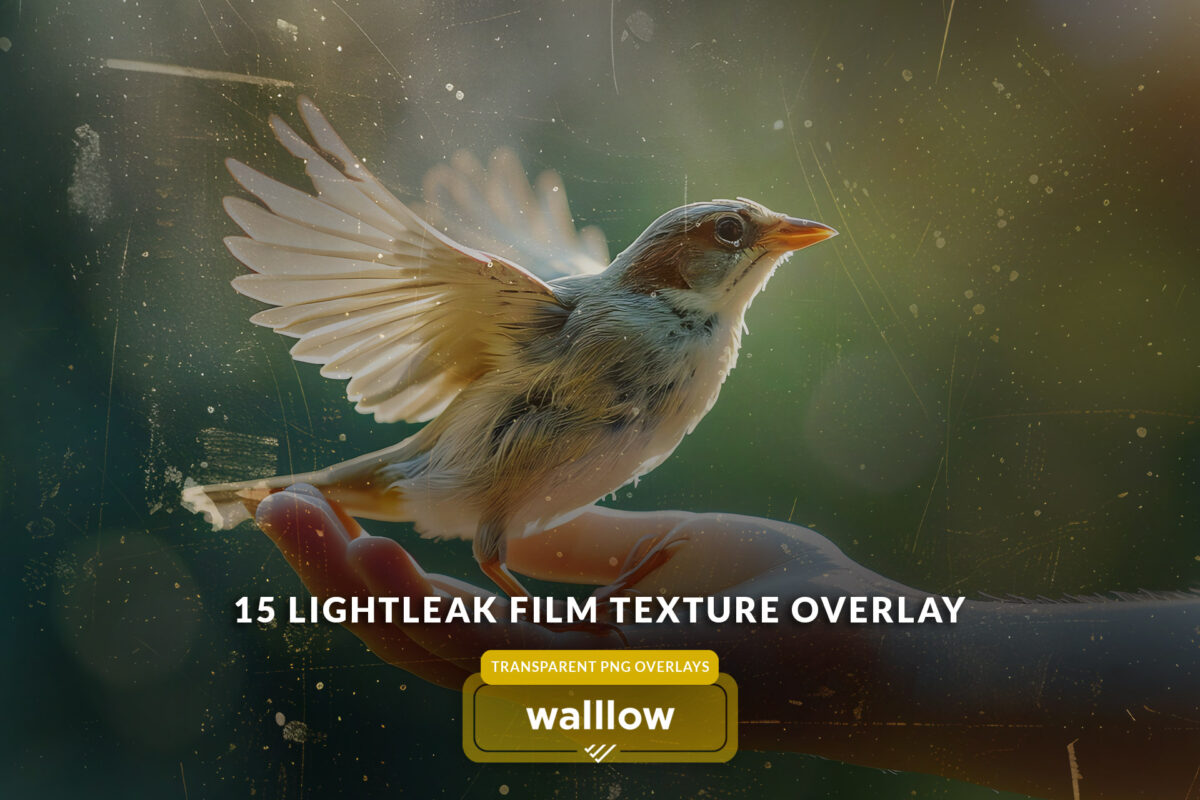 light leaks and vintage film texture transparent png overlays