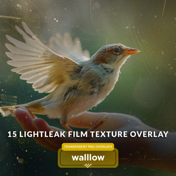 light leaks and vintage film texture transparent png overlays