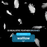 Realistic feathers photoshop brushes