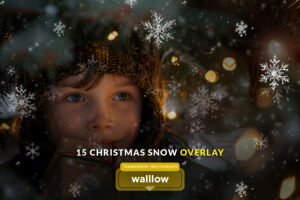 Realistic snow and snowflakes transparent png photo overlays