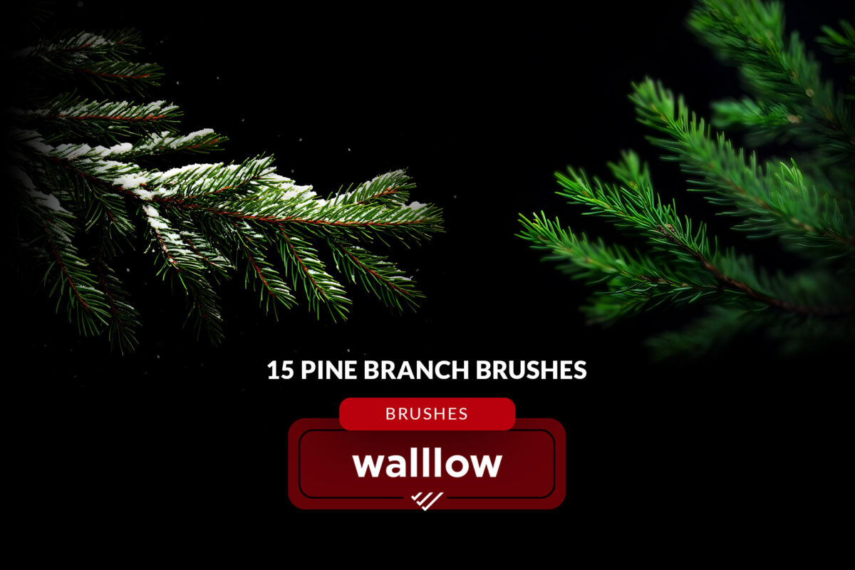 Christmas Tree Branch Photoshop Brushes | Winter Pine Branches Digital Brush Set | Instant digital download