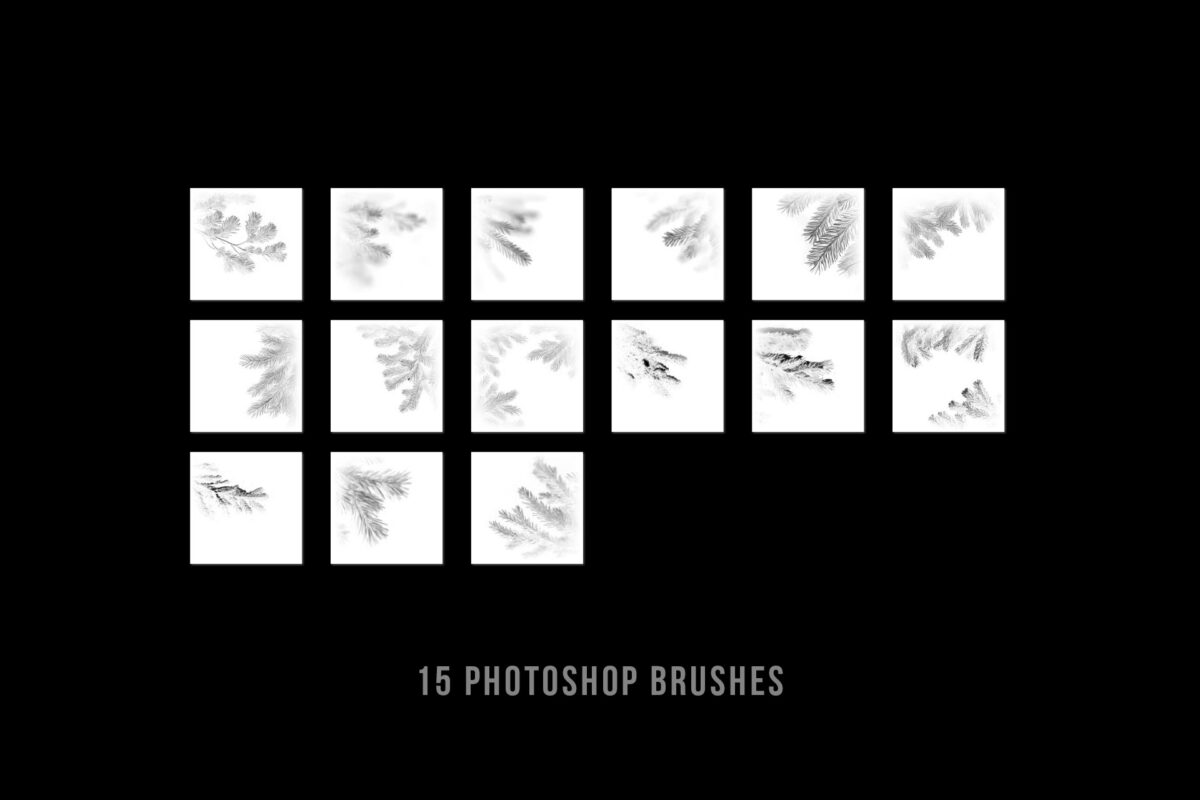 Christmas Tree Branch Photoshop Brushes | Winter Pine Branches Digital Brush Set | Instant digital download