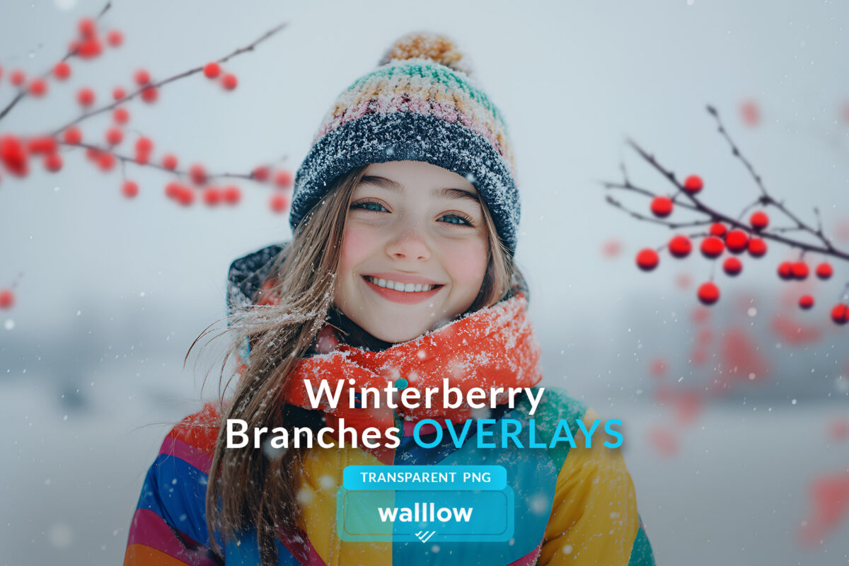 Winter berry branches transparent PNG overlays for enhancing photos with natural, festive accents