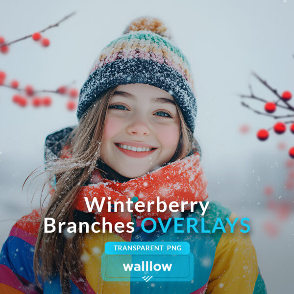 Winter berry branches transparent PNG overlays for enhancing photos with natural, festive accents