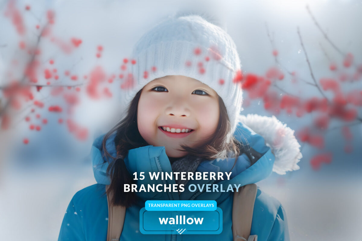 Winter berry branches transparent PNG overlays for enhancing photos with natural, festive accents