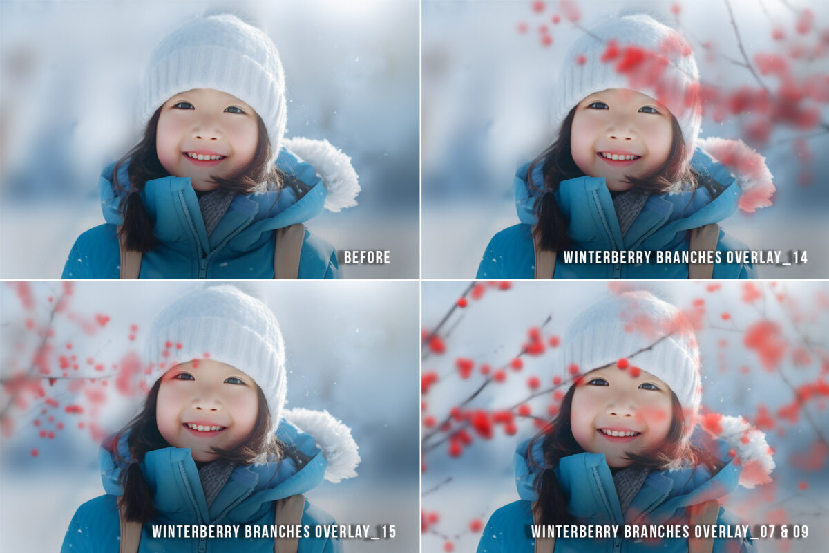 Winter berry branches transparent PNG overlays for enhancing photos with natural, festive accents