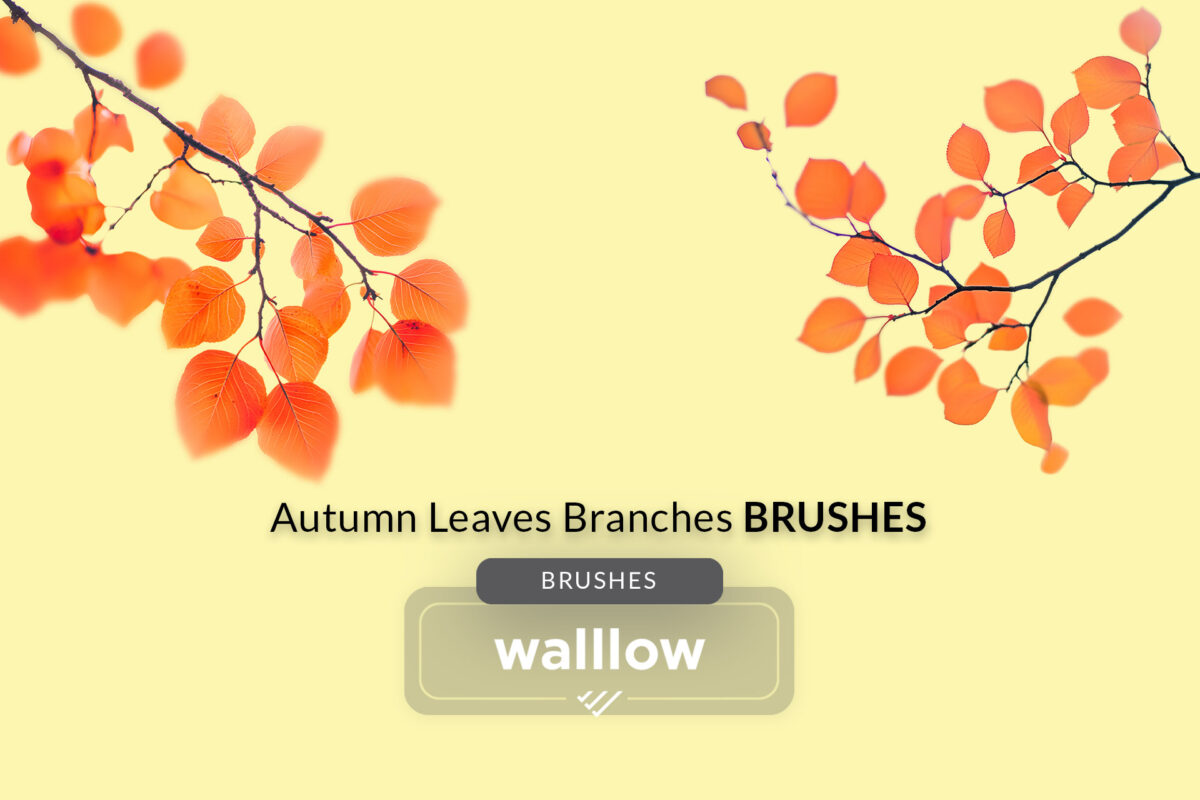 Autumn leaves Photoshop brushes set featuring detailed fall foliage for creating seasonal digital artwork, rustic designs, and nature-themed projects in Photoshop.