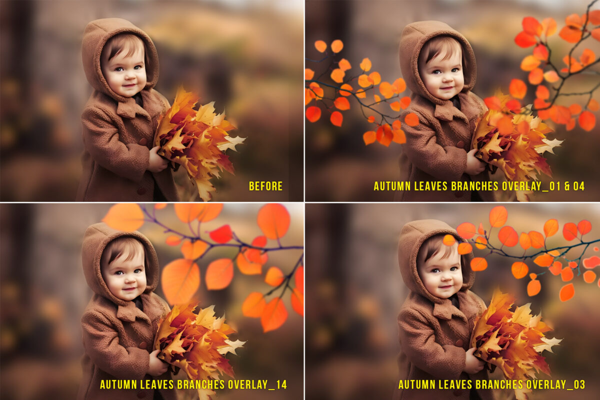 Autumn branches and leaves transparent PNG overlays featuring fall foliage elements for seasonal digital designs, rustic decor, and nature-themed projects.