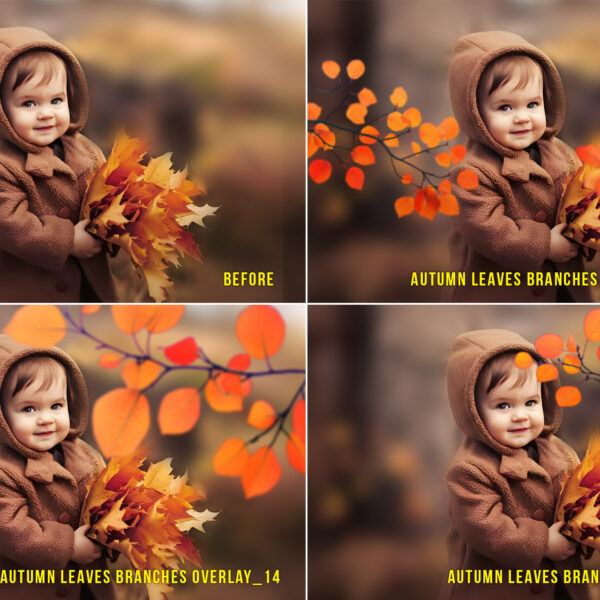 Autumn branches and leaves transparent PNG overlays featuring fall foliage elements for seasonal digital designs, rustic decor, and nature-themed projects.