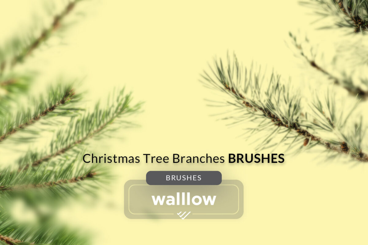 Christmas tree branches Photoshop brushes set featuring festive evergreen designs for holiday-themed digital artwork and graphic design projects. Perfect for creating Christmas cards, seasonal invitations, and winter decor in Photoshop.