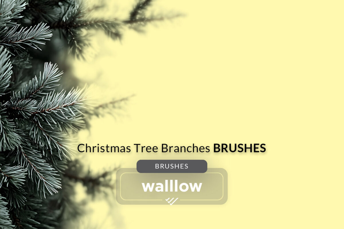 Christmas tree branches Photoshop brushes set featuring festive evergreen designs for holiday-themed digital artwork and graphic design projects. Perfect for creating Christmas cards, seasonal invitations, and winter decor in Photoshop.