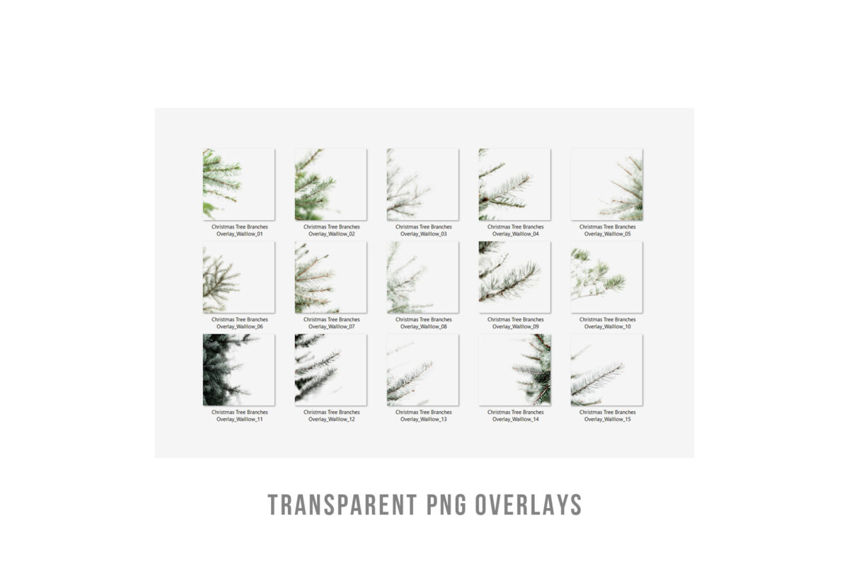 Christmas tree branches transparent PNG overlays for holiday designs and festive photo editing