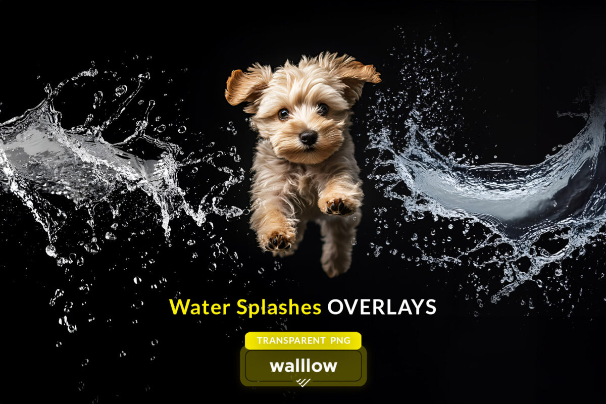 Realistic transparent PNG water splash overlays for digital designs, photography, and Photoshop projects. High-resolution water drops and splash effects, perfect for enhancing photos with dynamic water elements.