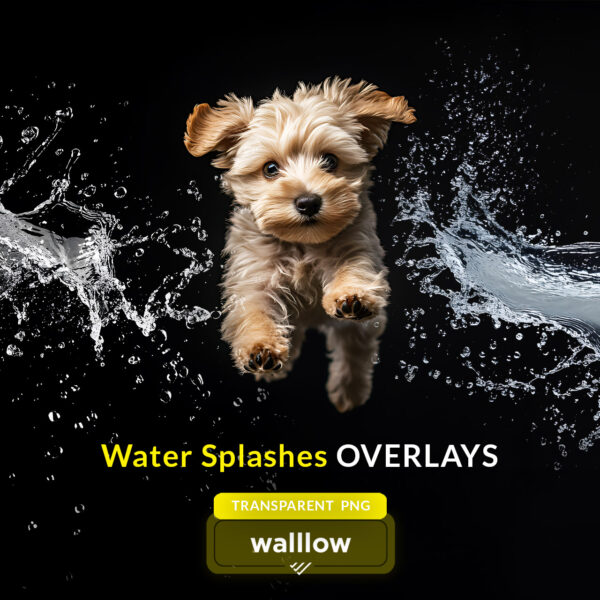 Realistic transparent PNG water splash overlays for digital designs, photography, and Photoshop projects. High-resolution water drops and splash effects, perfect for enhancing photos with dynamic water elements.