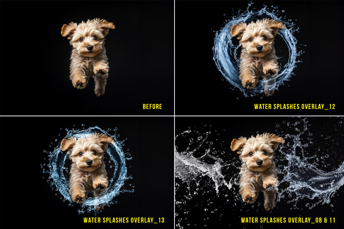 Realistic transparent PNG water splash overlays for digital designs, photography, and Photoshop projects. High-resolution water drops and splash effects, perfect for enhancing photos with dynamic water elements.