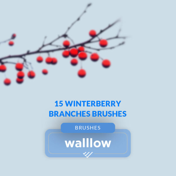 Winter Berry Branches Photoshop Brushes for Holiday Design - High-Quality Digital Foliage Elements